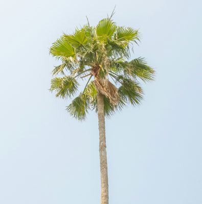 8-miles亚马逊FBA小包